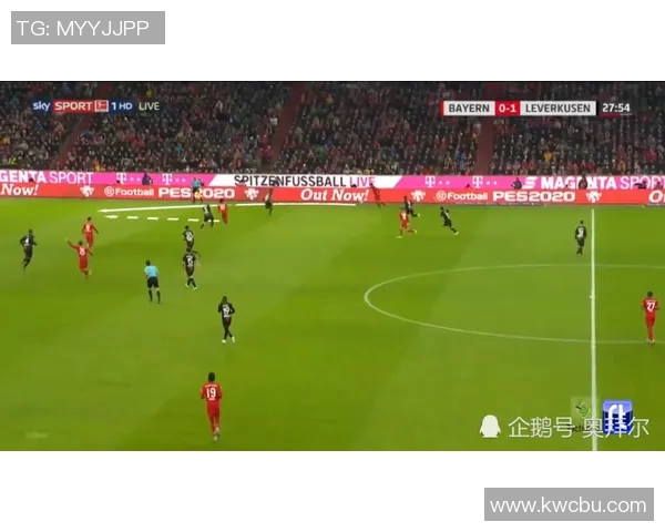 法乙各队阵容深度解析与战术特点分析助你了解赛季动态