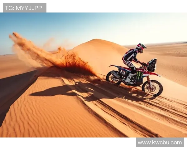 欧拉迪波重返步行者队，全明星后卫再度起航备战新赛季